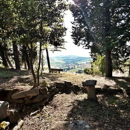 Rustica Di Tonucci Pierino *