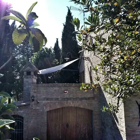 Rustica Di Tonucci Pierino