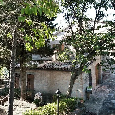 Rustica Di Tonucci Pierino * Mondavio