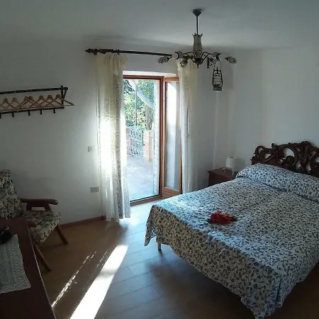 Rustica Di Tonucci Pierino *