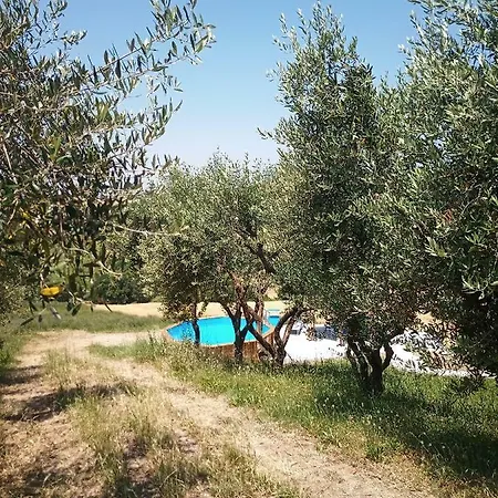 Rustica Di Tonucci Pierino Villa Mondavio